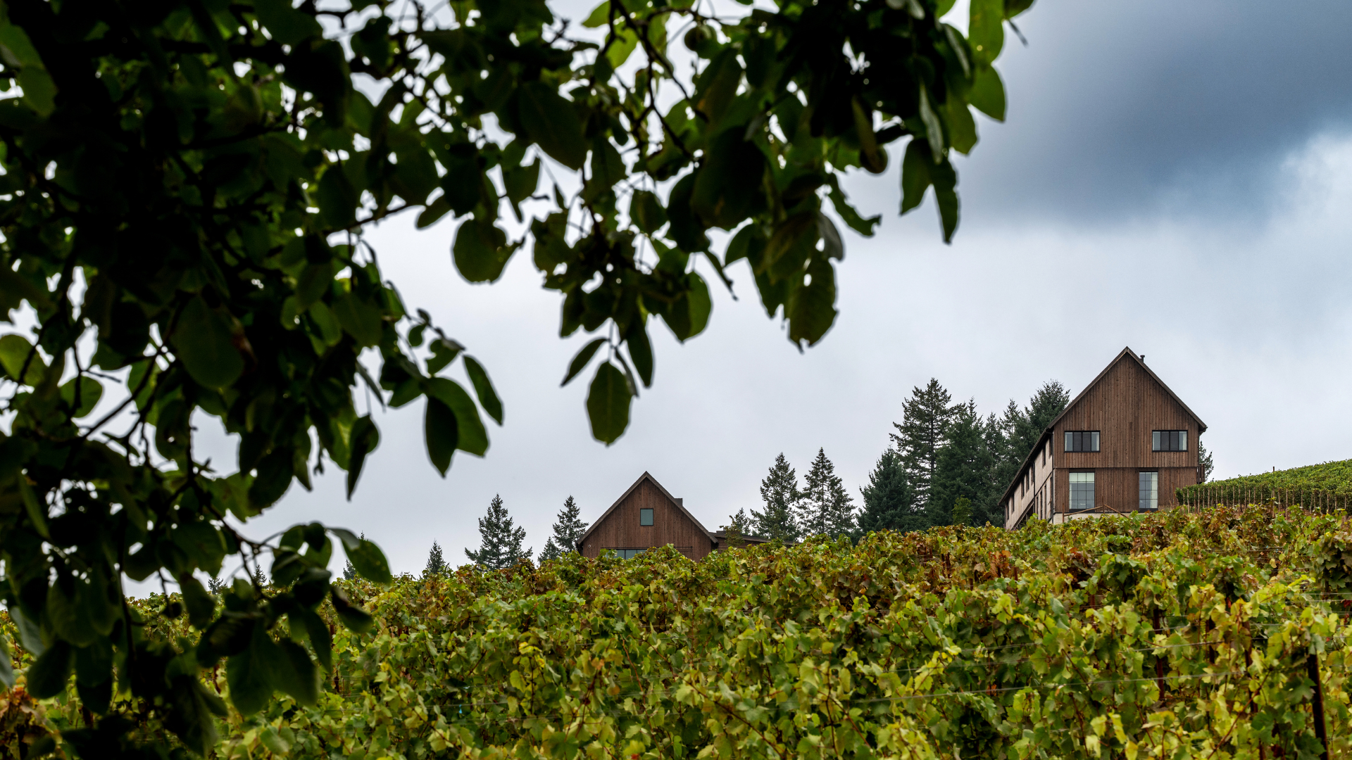 Private Gatherings in Dundee Hills | Foley Wines at Dundee Hills