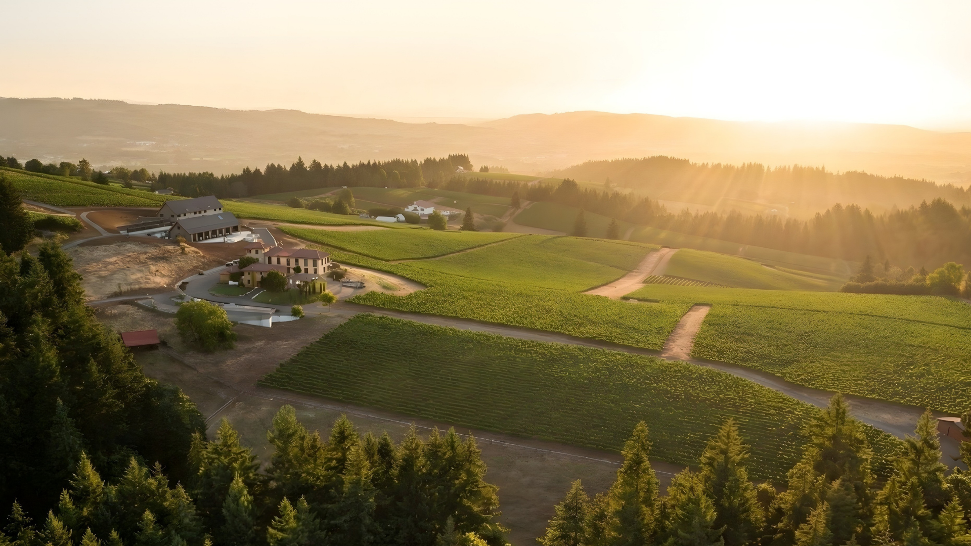 The Estates Map | Dundee Hills Wine Country Retreat